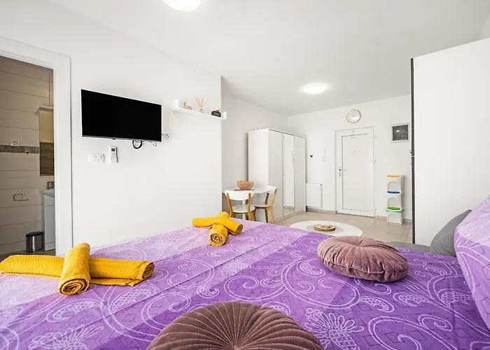 Appartamento Alania Studio *