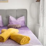 Alania Studio Apartament Pula